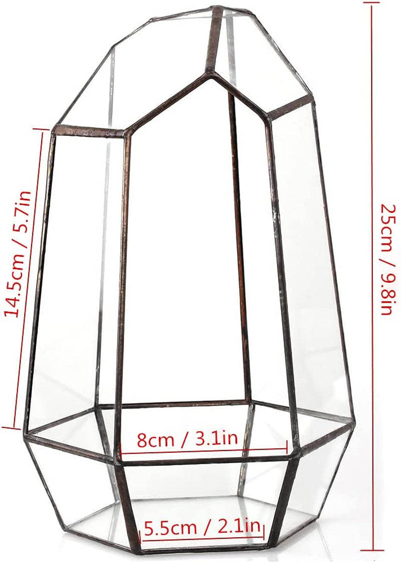 Geometric Plants Terrarium Planter - Glass Terrarium for Succulent, Cacti - 6.5X5.7X9.8 Inches - Indoor Tabletop Irregular Opened Container Pot for Home, Garden, Office Decor, Black (No Plants)